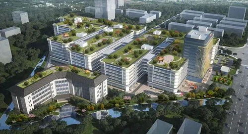 江門迎來企業(yè)投資熱潮，實(shí)業(yè)興城正當(dāng)時