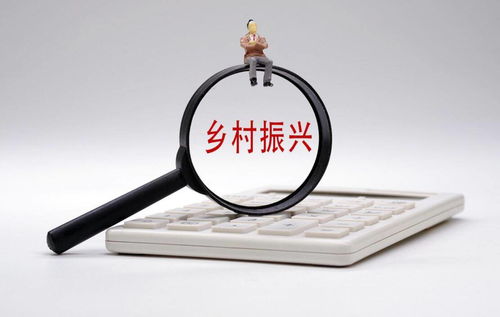 打通金融“最后一公里”，以多元服務賦能鄉村振興